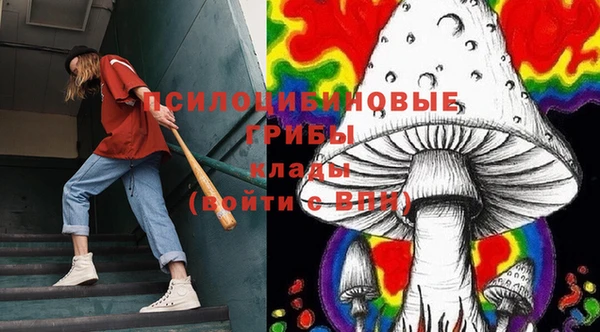 бошки Волоколамск