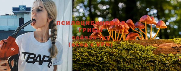 бошки Волоколамск