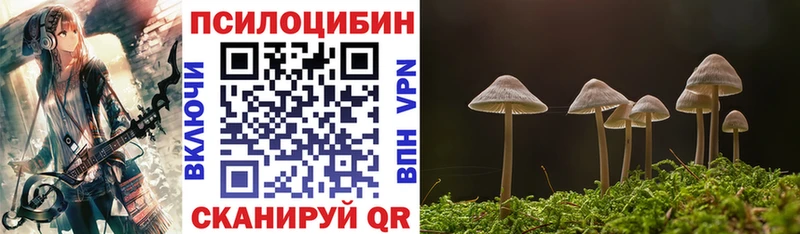 Галлюциногенные грибы Cubensis  закладка  hydra вход  Поворино 